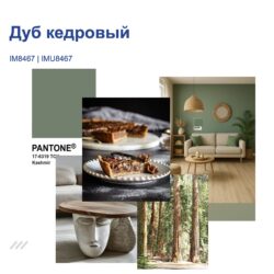 IM8467 Дуб кудровый
