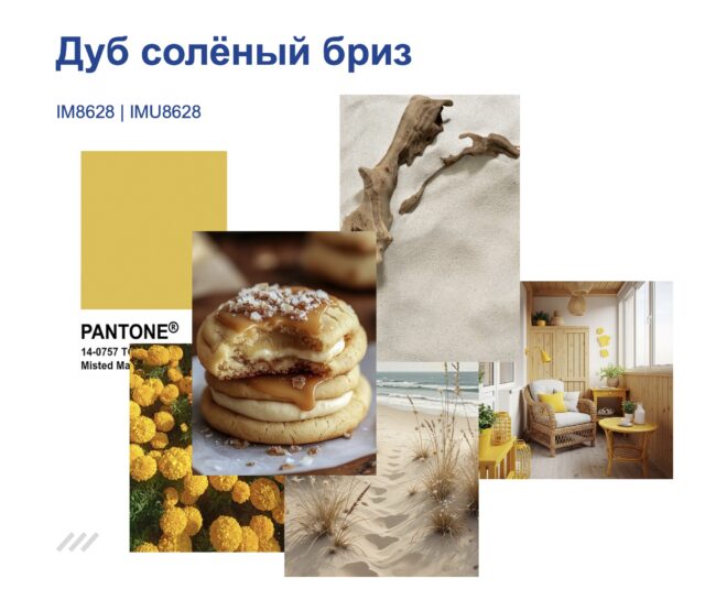 Дуб солёный бриз — изображение 3