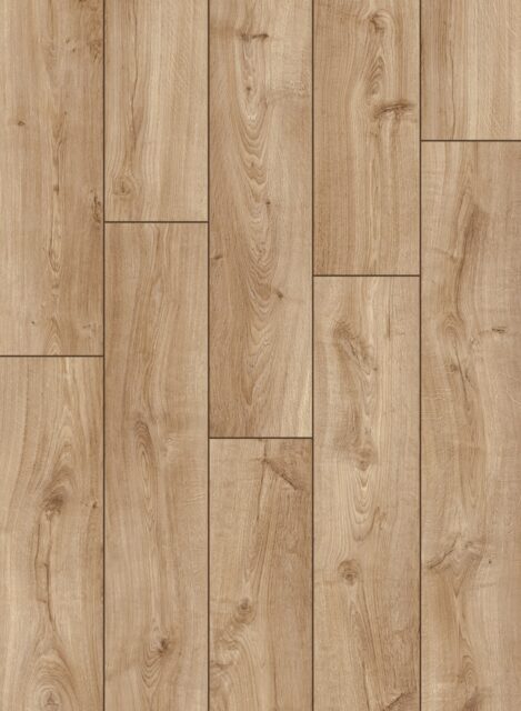 UWH8634 – Дуб ивовый