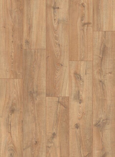 UWH8635 – Дуб древний тис