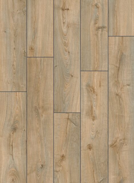 UWH8636 – Дуб хмелевой