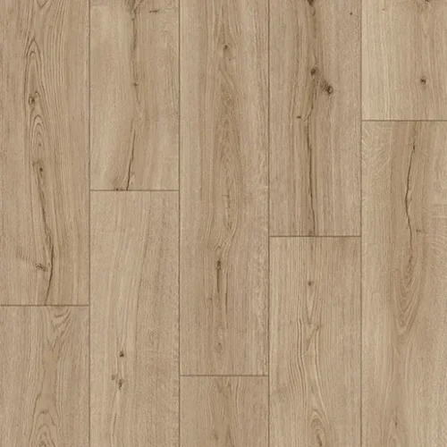 IMU8603 Дуб субтропический